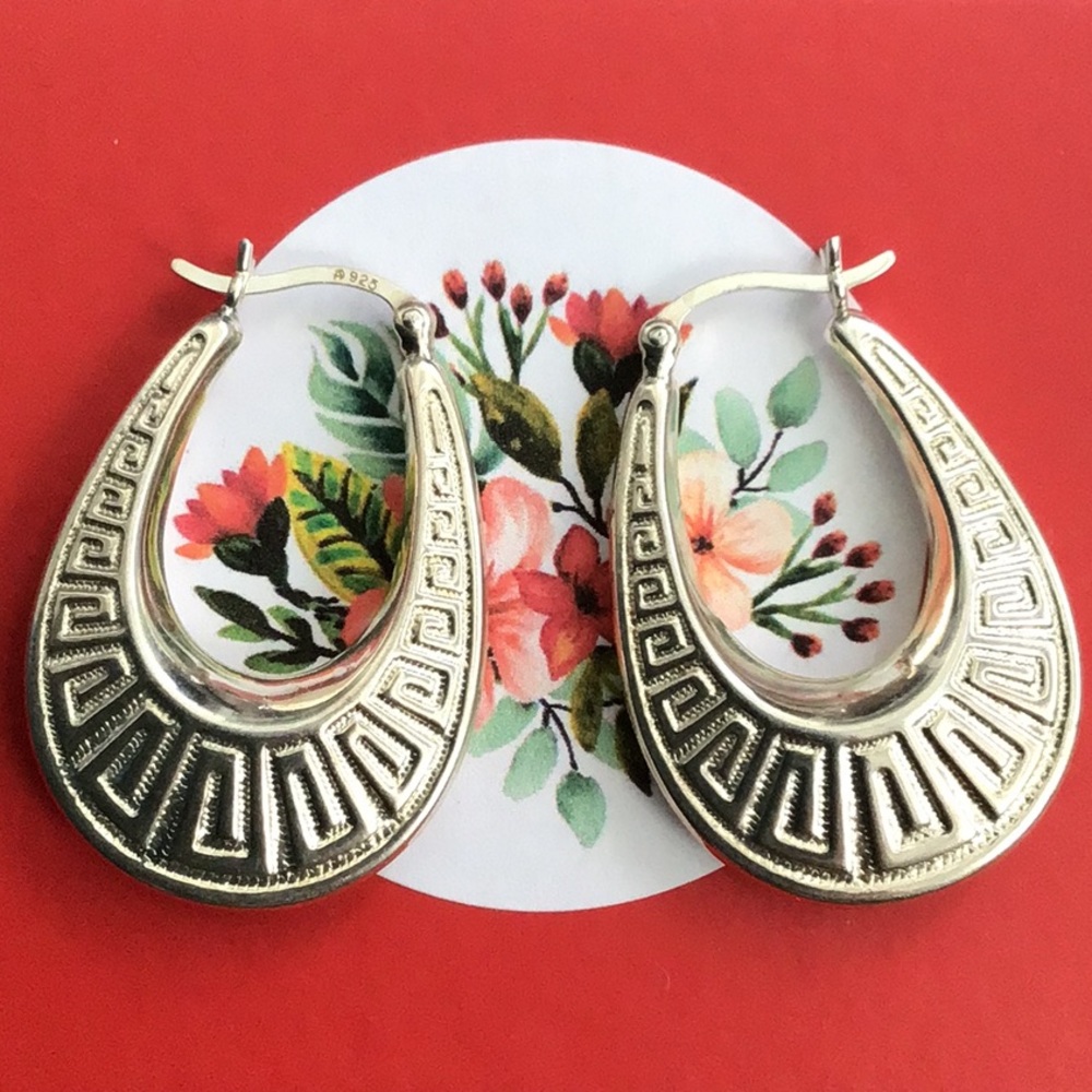 Elegant Silver Hoop Earrings